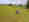 KV-exacta-098-jpg-g18oewydy0_kvg_large